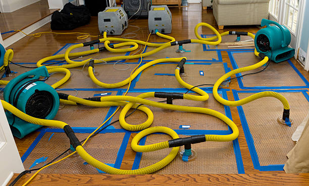 Professional Structural Drying And Dehumidification technician working in West Yarmouth, MA